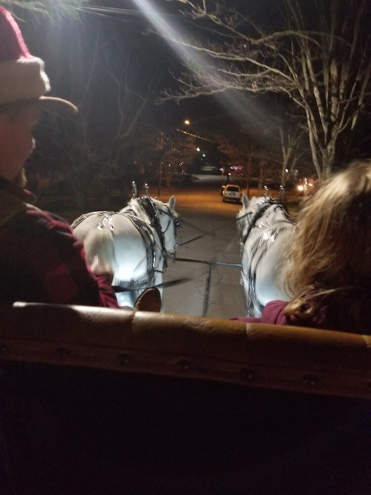 Holiday Horse Buggy Ride