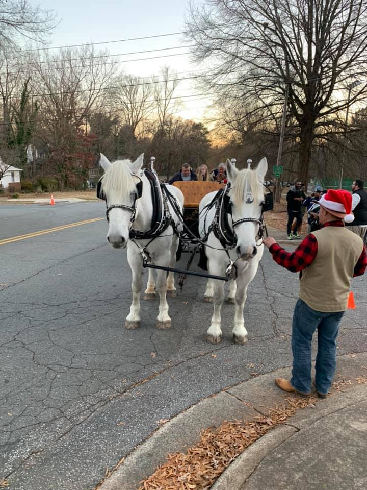 Holiday Horse Buggy Ride